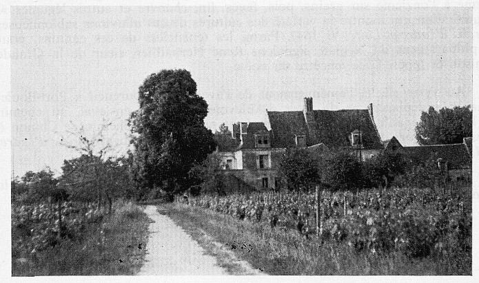 09 Château du Néman photo A. Montoux BAVC 8.1 1977