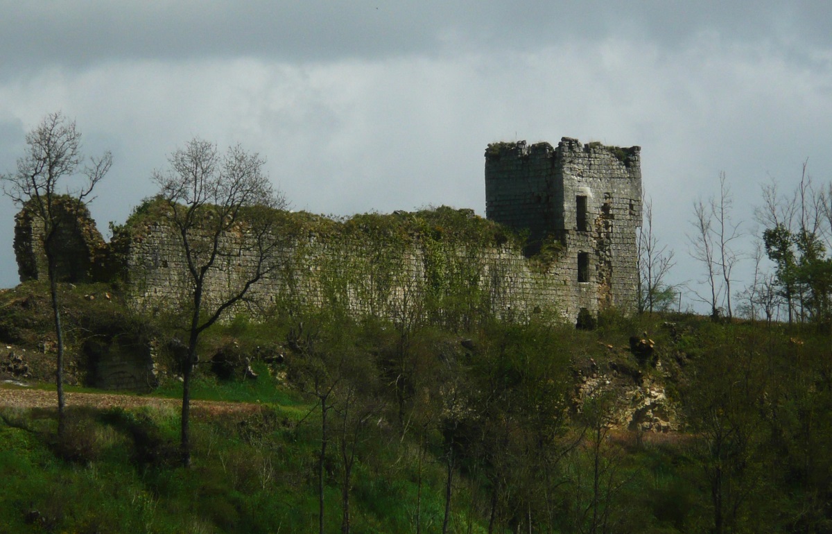 16 Le château des Roches Tranchelion photo PMD avril 2013