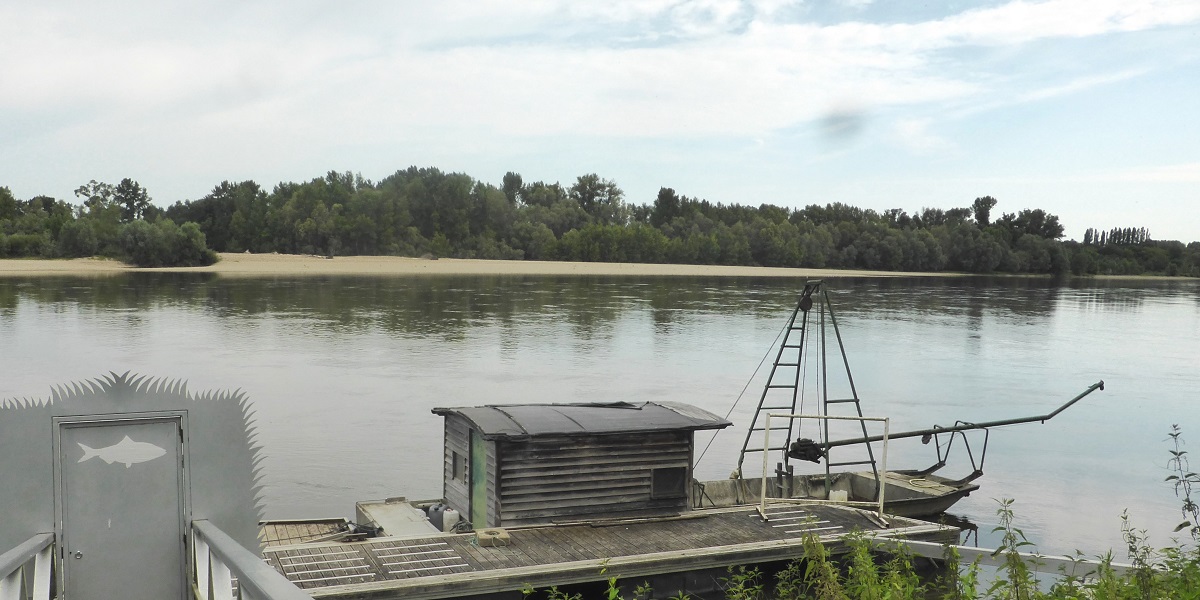 02 La Loire au Coudrai photo PmD juillet 2024