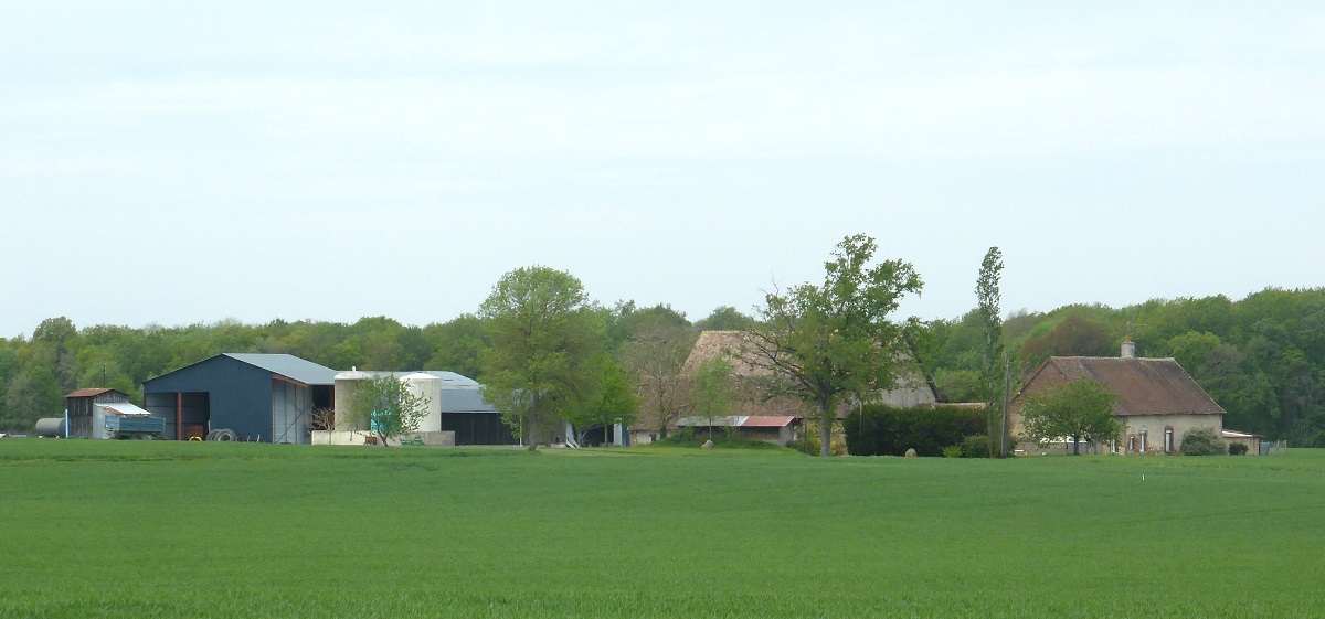 01 Aubigné à Auzouer en Touraine photo PmD mai 2021