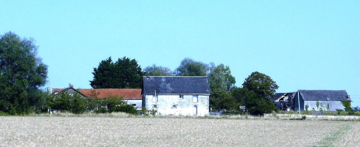 02 Beussac à Ferrière Larçon photo PmD août 2019