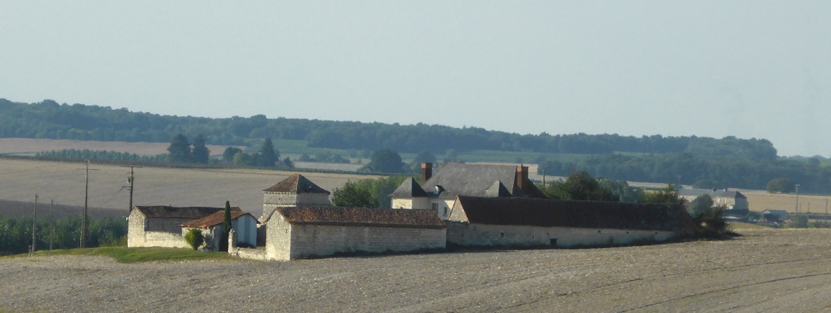 04 Dercé à Lémeré photo PmD sept. 2016