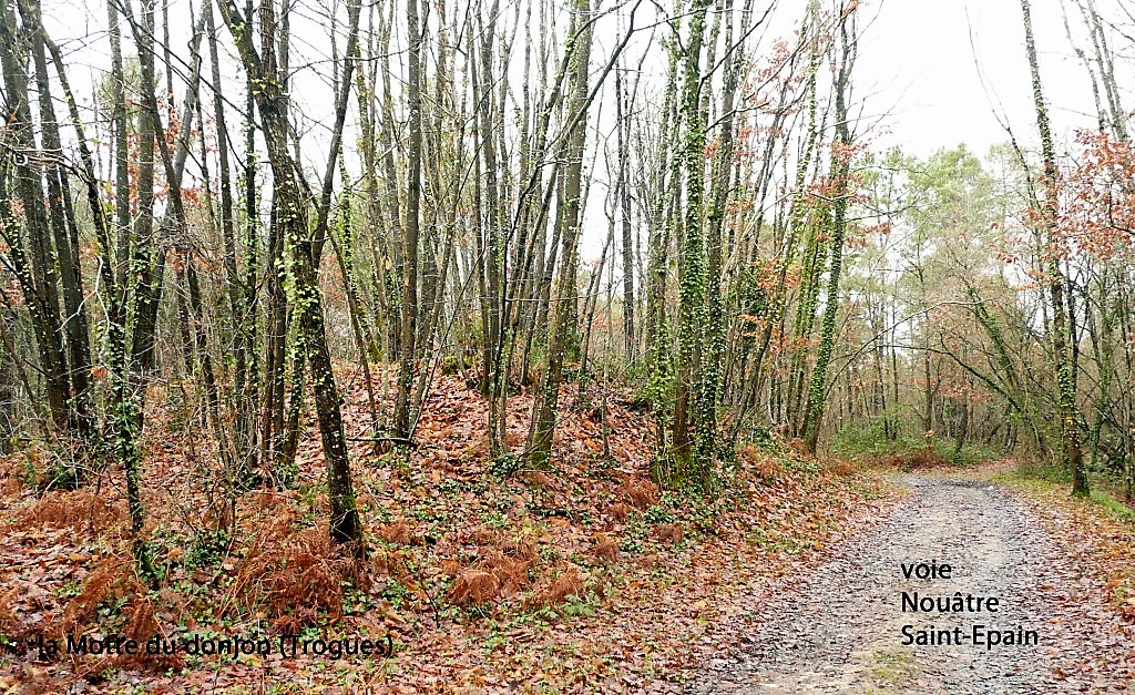 12 Ancienne voie à La Motte du Donjon photo PMD février 2011