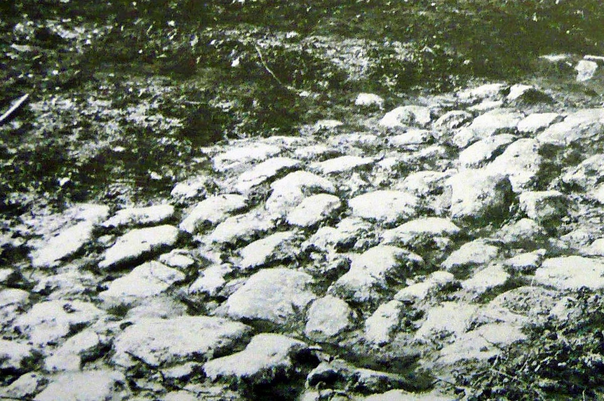 16a Ancienne voie au Bois de la Petite Pépinière photo M. Moreau 1980
