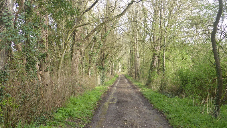 28 Ancienne voie près de La Tortinière à Veigné photo PMD mars 2023