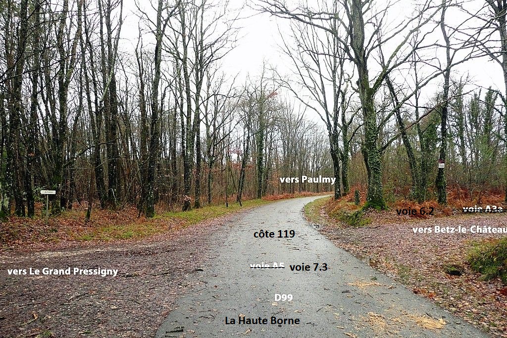 36 Anciennes voies à La Haute Borne photo PMD déc. 2011