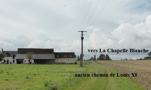 41 Ancienne voie entre Ligueil et Manthelan hypoyhèse chemin de Louis XI photo PMDnaoût 2014