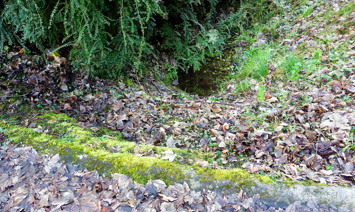 07 Fontaine Sainte Cécile ou Sainte Marguerite photo PMD fév. 2019