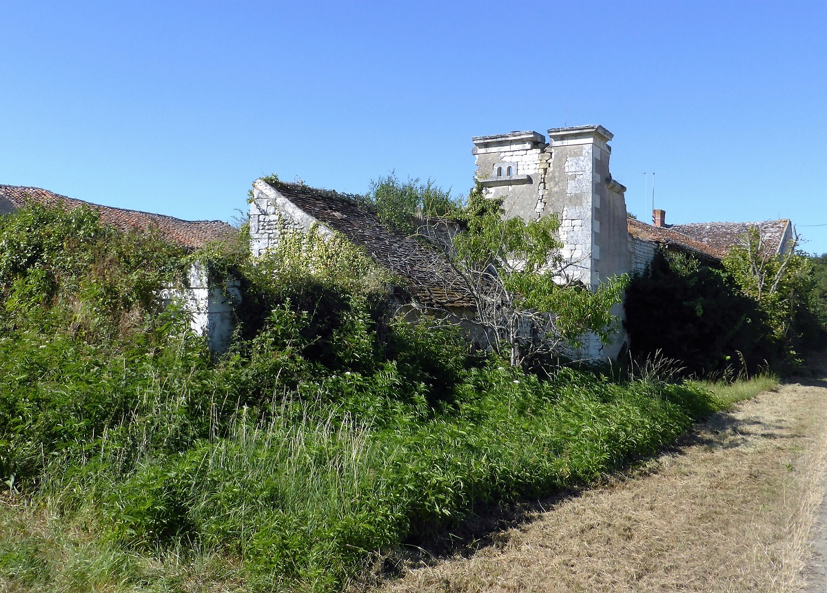 08 Bois Chevalier photo PMD août 2016