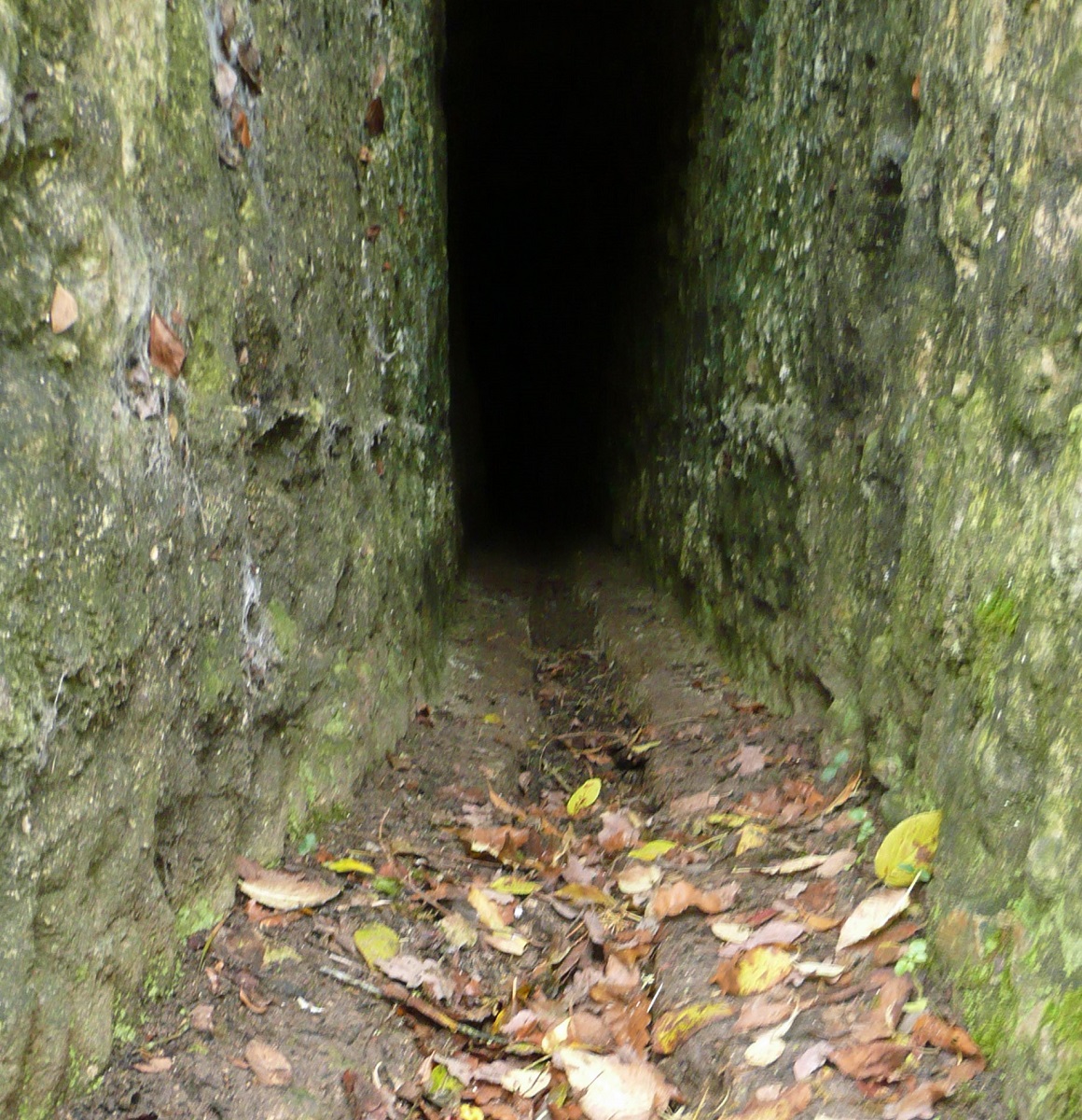 04 Aqueduc de La Ronde photo PmD déc. 2011