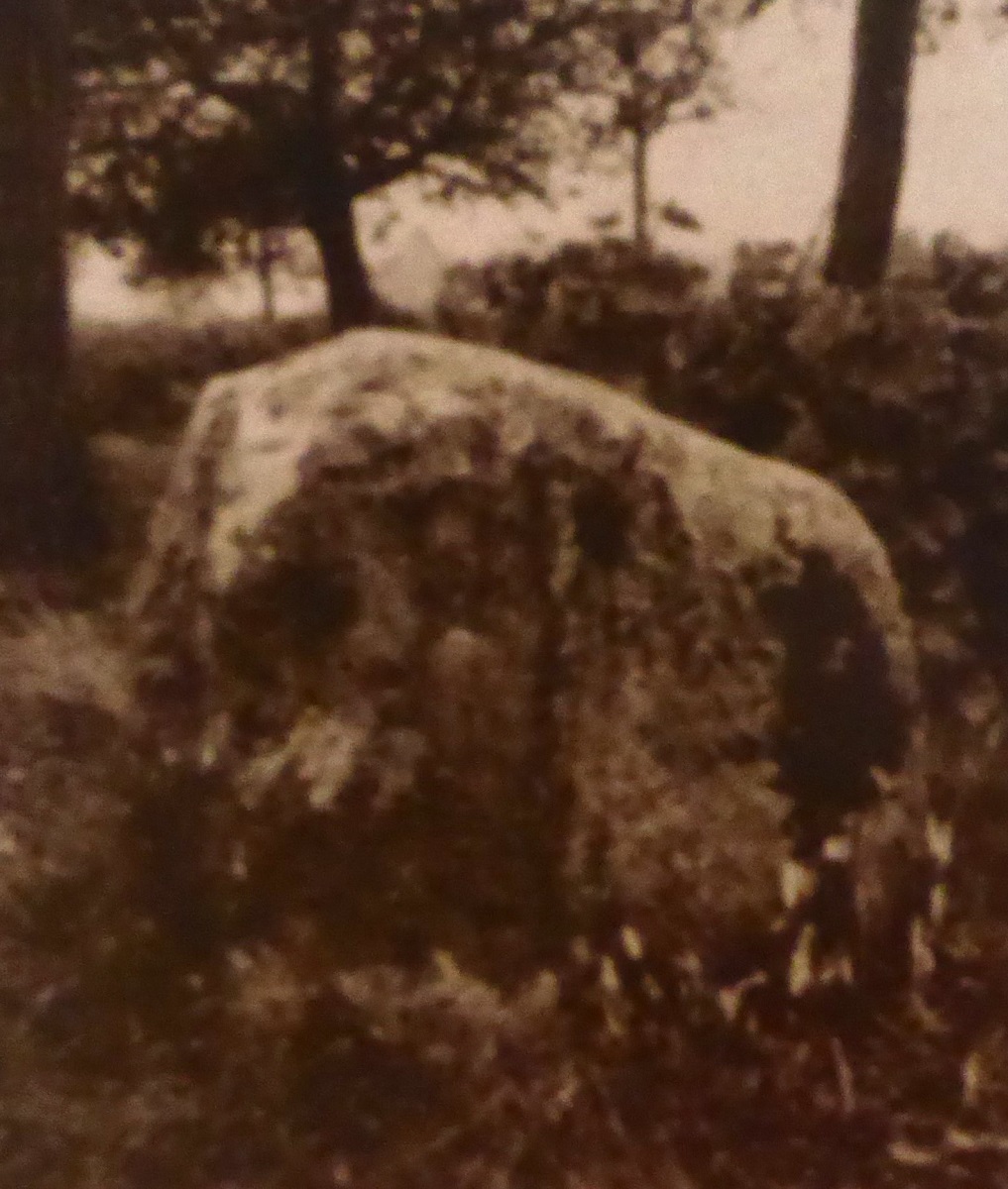 03 Menhir Le Chillou en 1984 photo Gérard Cordier in Bulletin de la SHCVL 2020