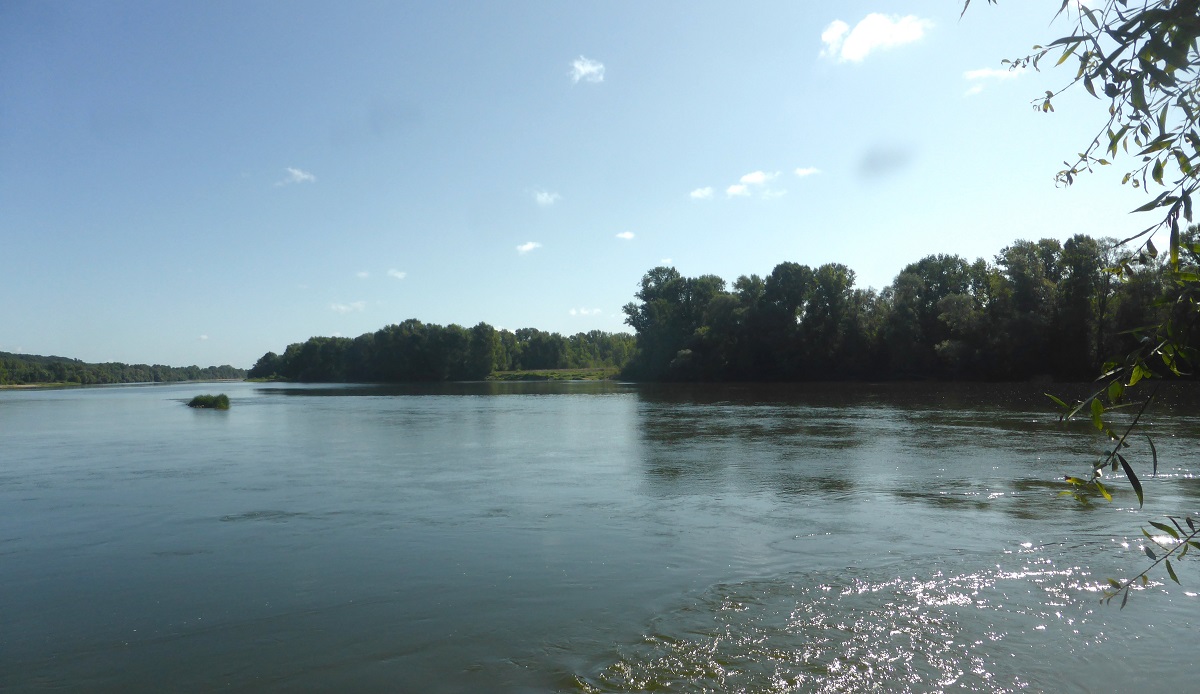 11 La Loire en dessous de la Pile photo PMD août 2024