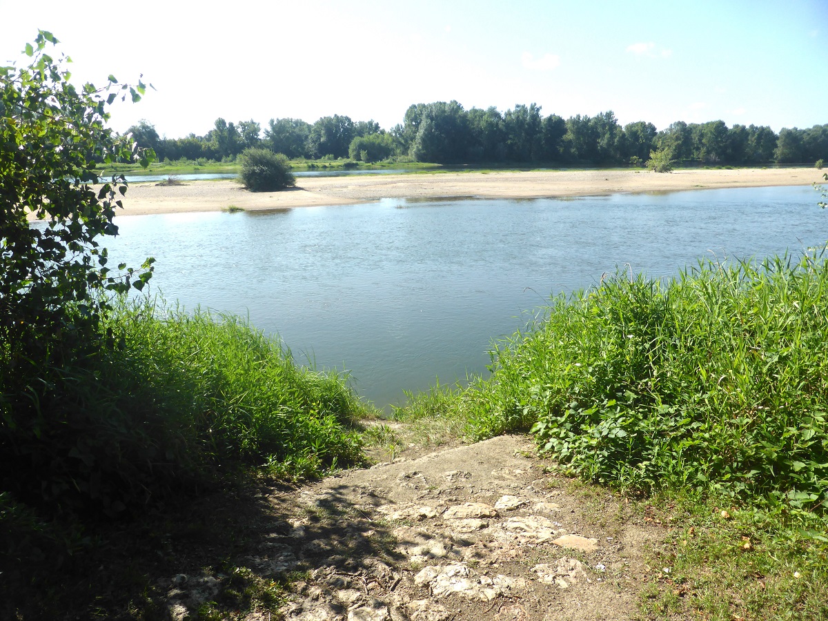 12 La Loire au Ponceau photo PMD août 2024