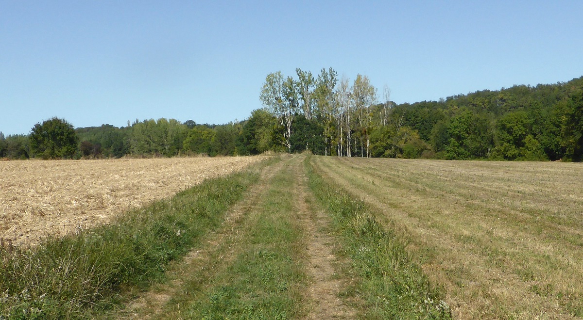 03b Ancienne voie gallo romaine près de Montaigu photo PmD sept 2019