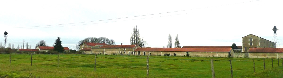 23 La Ferme Neuve photo PmD nov. 2011