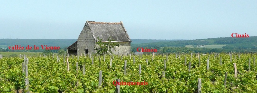 Vallée de la Vienne vue de Quinquenais photo PMD mai 2009