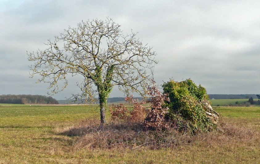 04 Marcé sur Esves La Pierre du Faon photo PMD février 2014