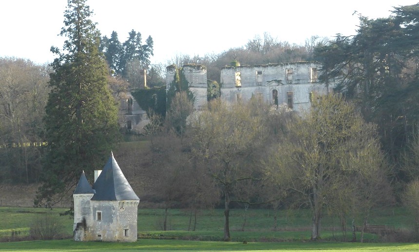 10 Saint Épain chateau de Montgoger photo PMD janvier 2016