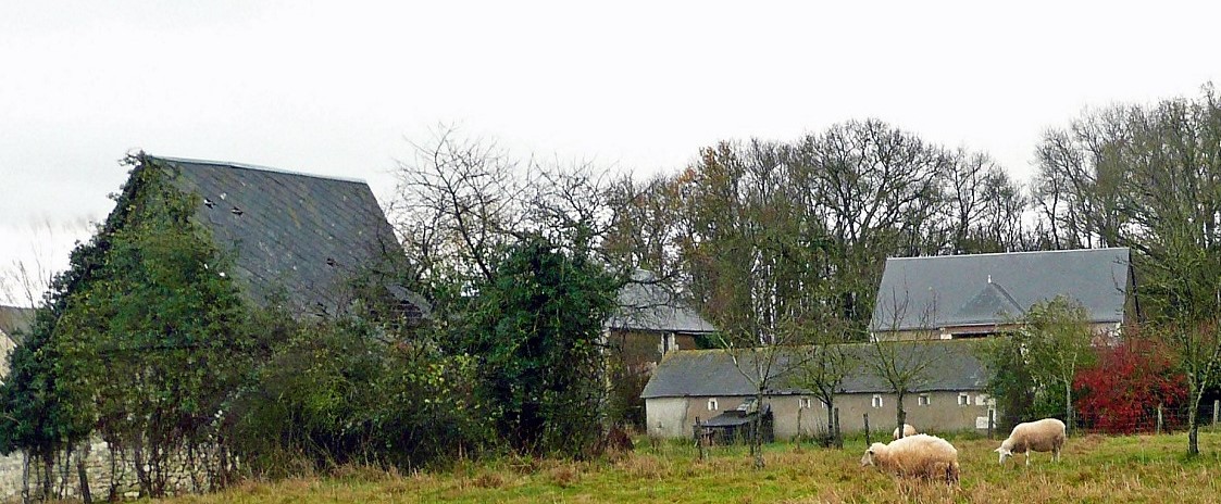 14 Le Louroux Mazère photo PMD déc. 2011