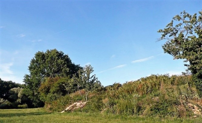 06 Betz le château oppidum de la Châtre photo PMD août 2011