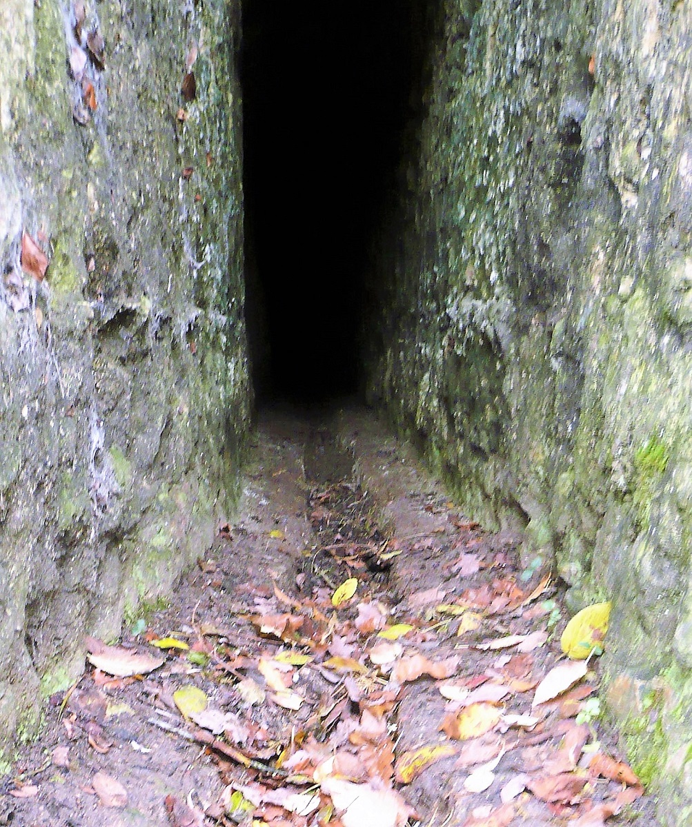 10 Montrésor aqueduc de la Rondephoto PMD déc.2011