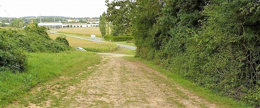 14 Buxeuil ancienne voie à côté de Vaugibault photo PMD août 2011