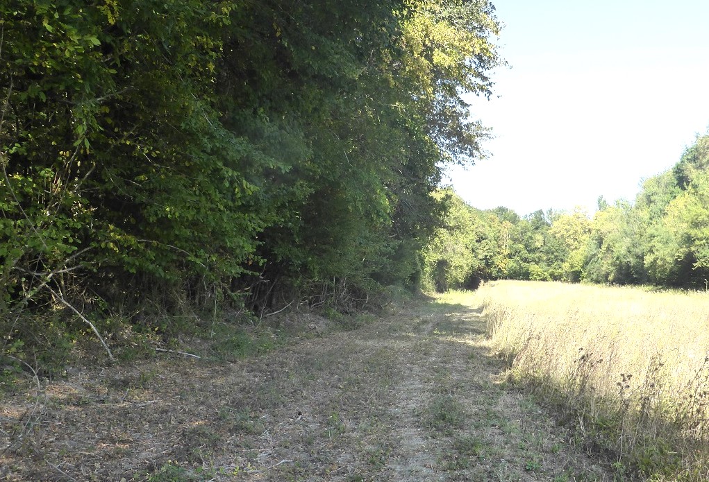 24bis Genillé ancienne voie à Montaigu photo PMD sept 2019