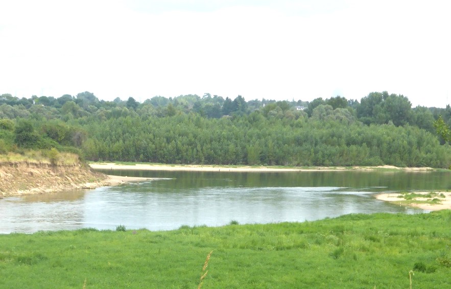12 La Loire à Saint Genouph photo PMD août 2024