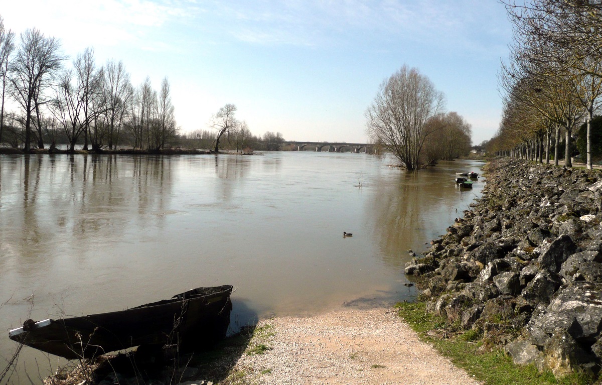15 La Loire à Saint Cyr photo PMD mars 2010