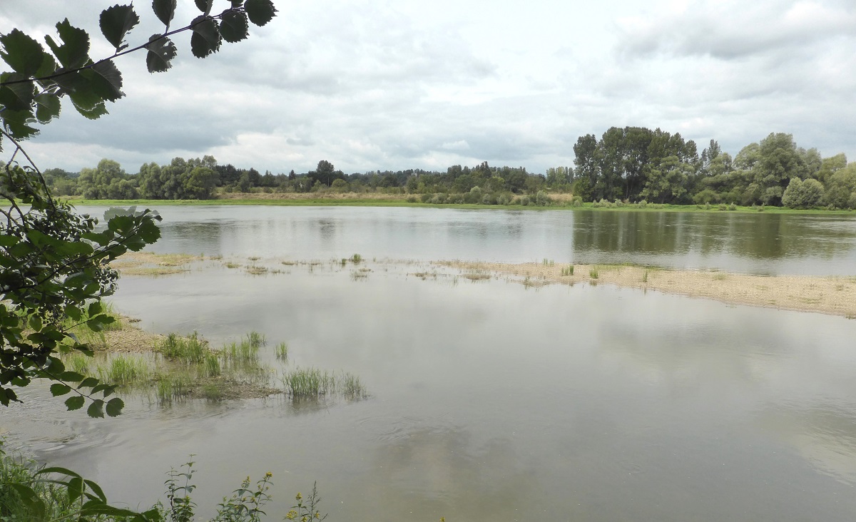 17 La Loire à Port Maillé photo PMD août 2024 