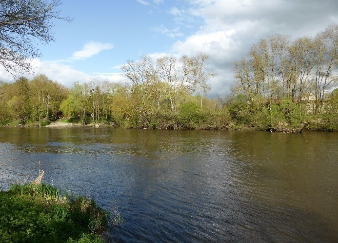 27 La Creuse à Saint Rémy sur Creuse en face de Rives photo PMD avril 2018