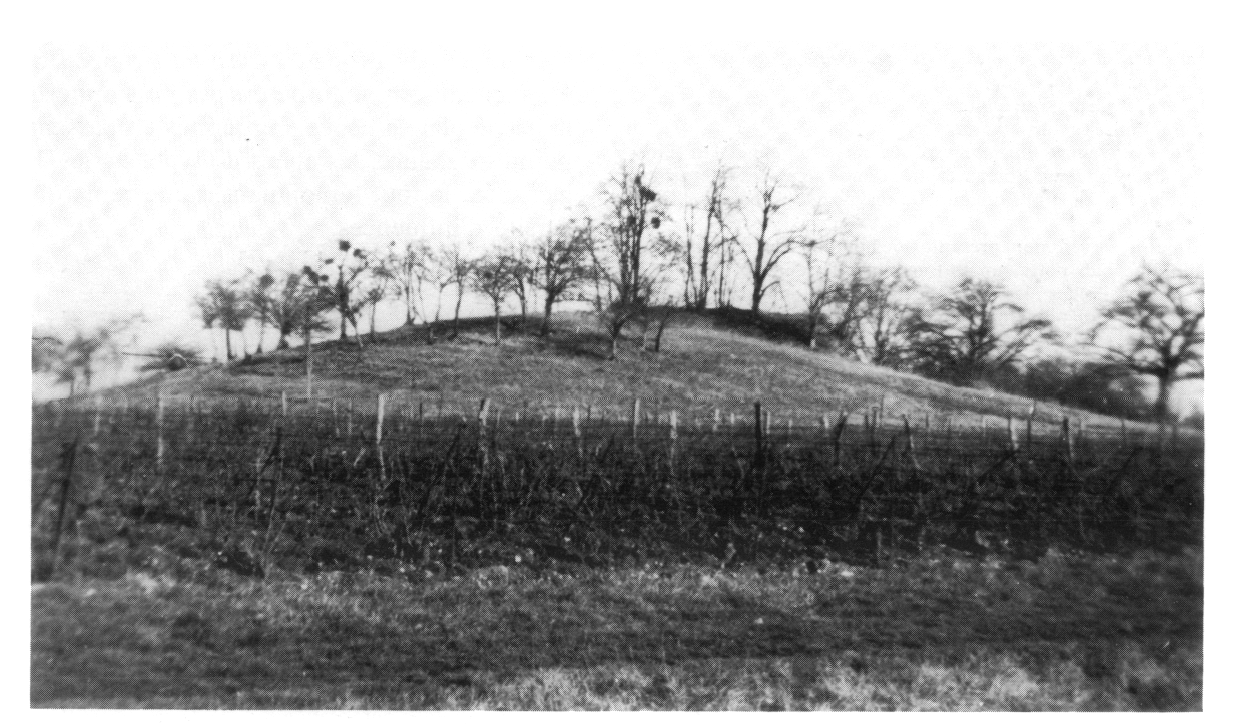 02 Amboise la butte de César en 1943