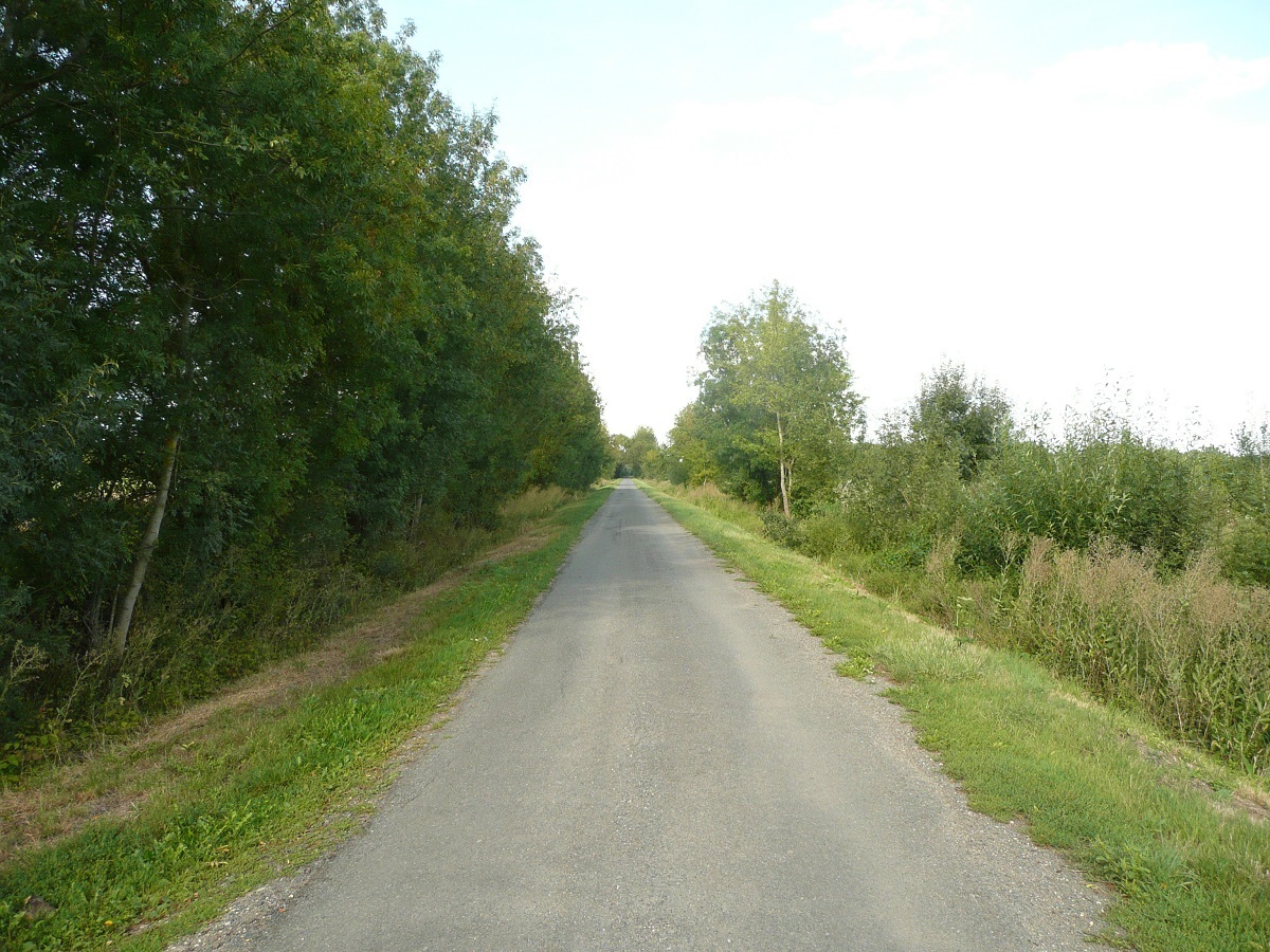 10 Savigny en Véron ancienne voie le long de la Loire photo PMD août 2011