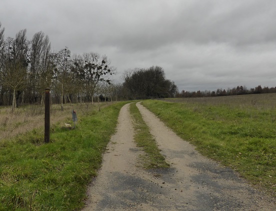 09 Ancienne voie rive droite entre Descartes et La Celle Saint Avant photo PMD janvier 2014