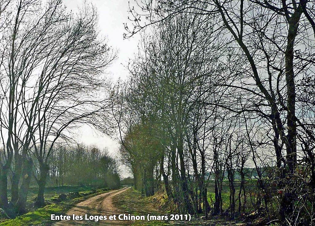 10 Ancienne voie entre les Loges et Chinon photo PMD mars 2011