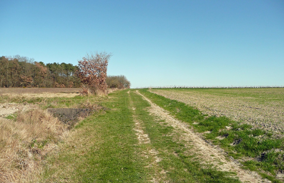 22 Ancienne voie près de Cambraye photo PMD mars 2011